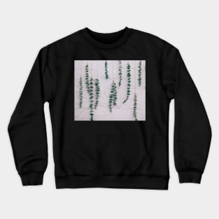 Eucalyptus Watercolor Crewneck Sweatshirt